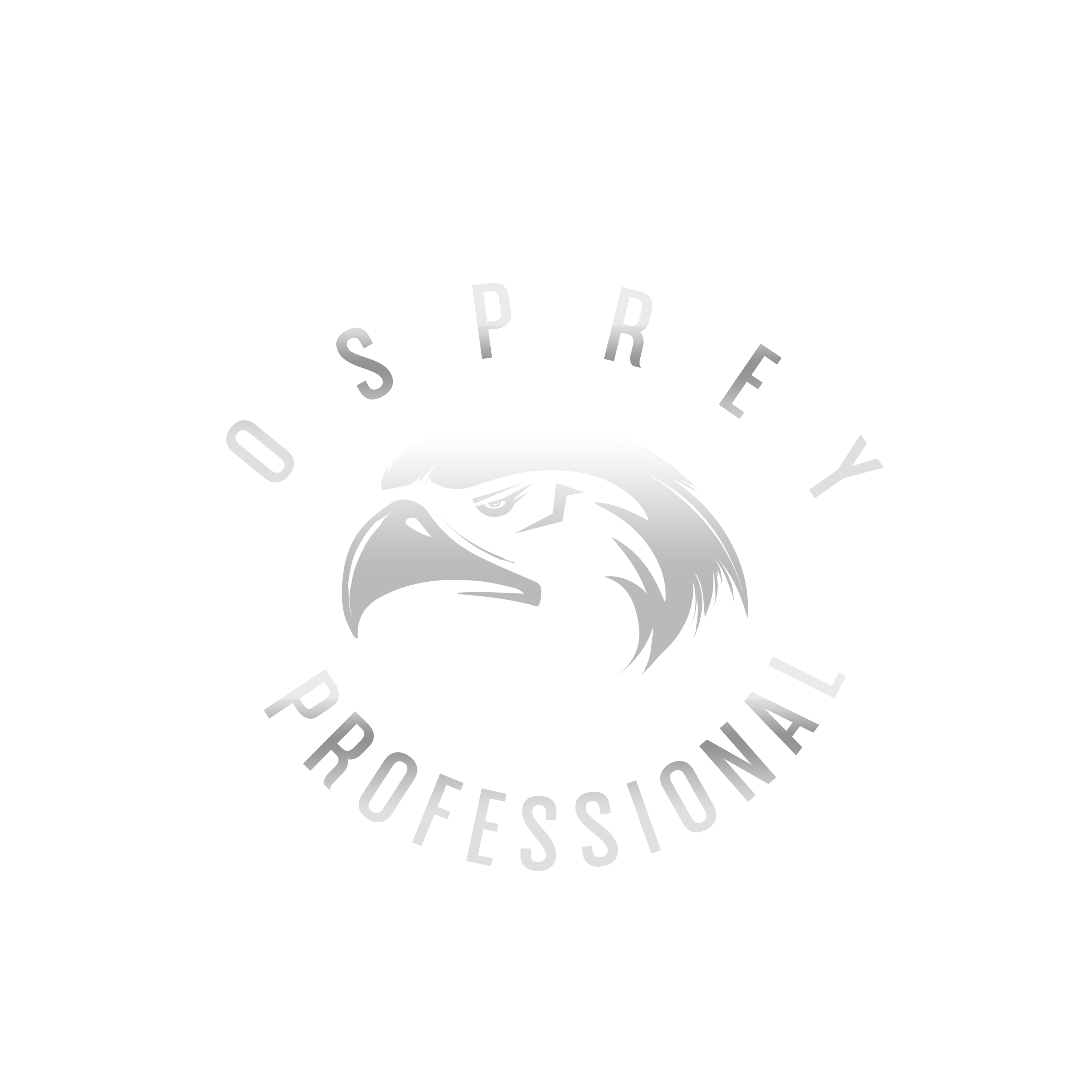 OSPREY PROFESSIONAL